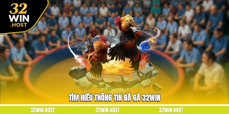 Tìm hiểu thông tin Đá gà 32WIN