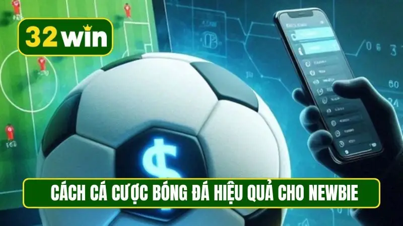 Cách cá cược bóng đá hiệu quả cho newbie